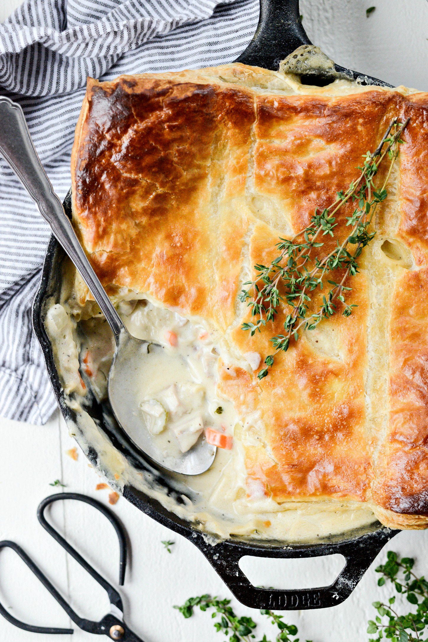 Finally made something with my Lodge pie pan - chicken pot pie : r/castiron