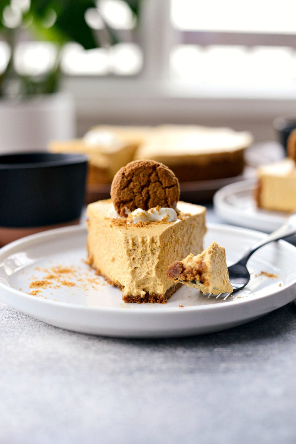 No-Bake Pumpkin Cheesecake with Gingersnap Crust - Simply Scratch